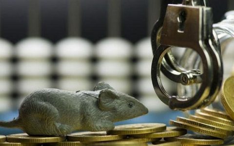 黄金金价今日价格